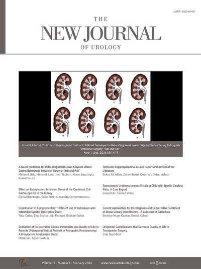New Journal of Urology Volume: 19 Issue: 1