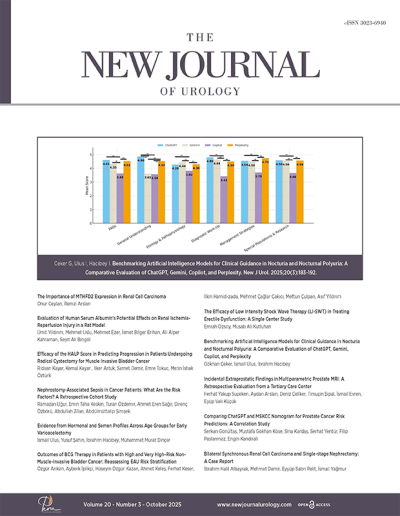 The New Journal of Urology 20(3)