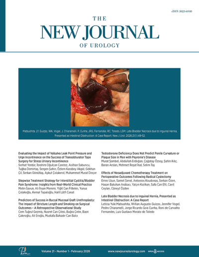 The New Journal of Urology 21(1)