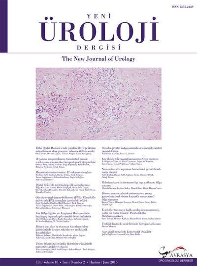 The New Journal Of Urology Skin: 10 Count: 2