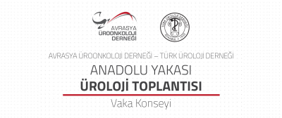  Anadolu Yakası Vaka Toplantısı (Kasım)