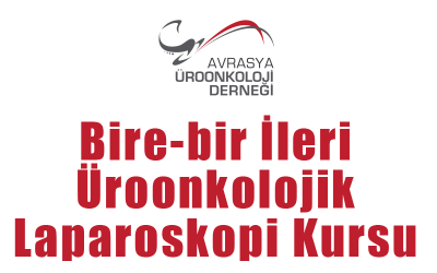 Bire-Bir İleri Üroonkolojik Laparoskopi Kursu