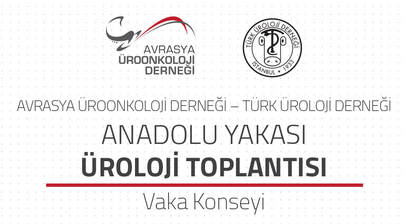 Anadolu Yakası Üroloji Toplantısı (Şubat)