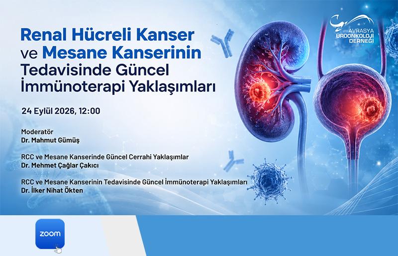 Renal Hücreli Kanser ve Mesane Kanserinin Tedavisinde Güncel İmmünoterapi Yaklaşımları
